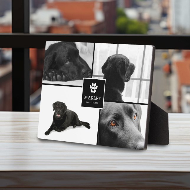 Placa Expositora 4 Foto Memorial para Mascotas | Recuerdo (Subido por el creador)
