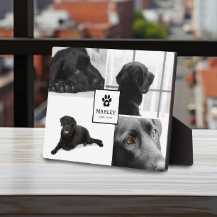 Placa Expositora 4 Foto Memorial para Mascotas   Recuerdo