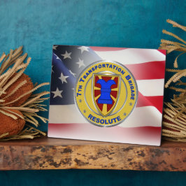 Placa Expositora 7.ª Expedicionaria De La Brigada De Transporte