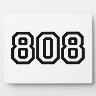 PLACA EXPOSITORA 808