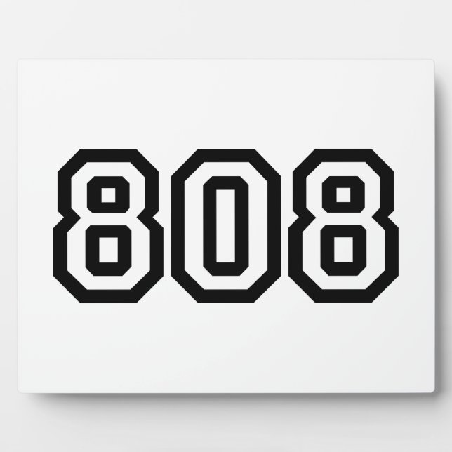 PLACA EXPOSITORA 808 (Frente)