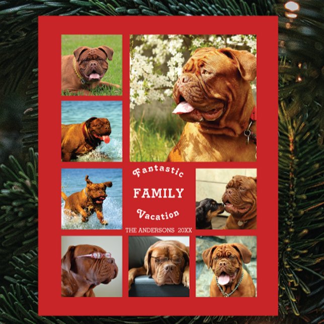 Placa Expositora 8 Recuerdos de familiares de fotos ✨ Personalizado (Christmas Gift Idea)