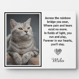 Placa Expositora A lo largo del puente arcoiris Monumento a los per