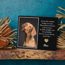 Placa Expositora A Lo Largo Del Puente Arcoiris, Perro Vizsla