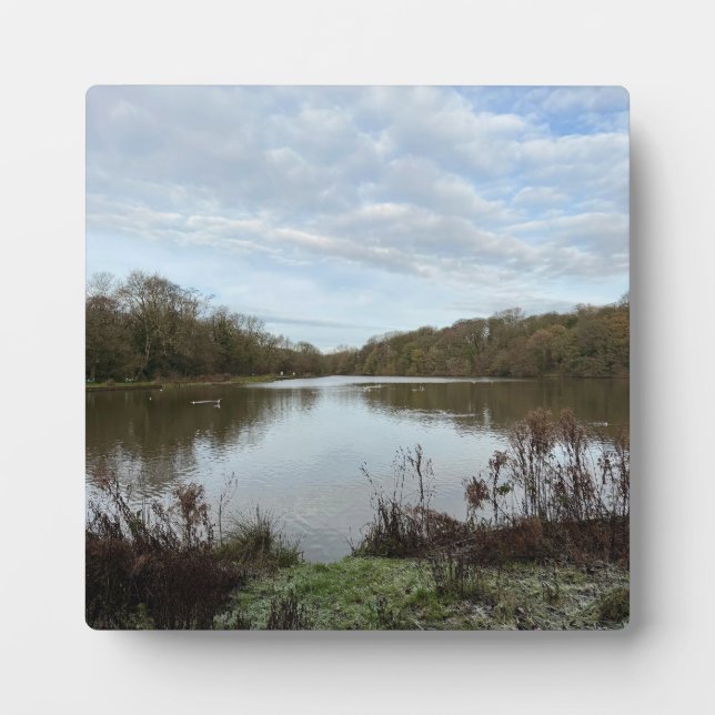 Placa Expositora A peacful lake.. (Frente)