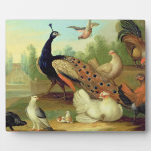 Placa Expositora A Peacock, Doves, Chickens and a Jay in a Park