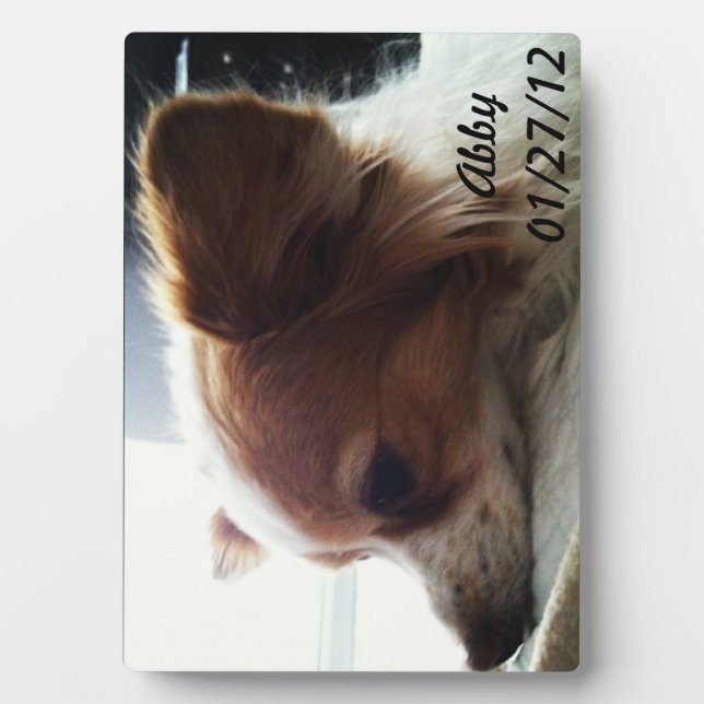 Placa Expositora Abby 2012 (Frente)