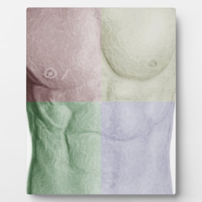 Placa Expositora Abdominales Coloridos (Frente)