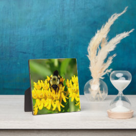 Placa Expositora Abeja festejando en flores silvestres de algodonci
