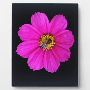 Placa Expositora abeja trabajadora