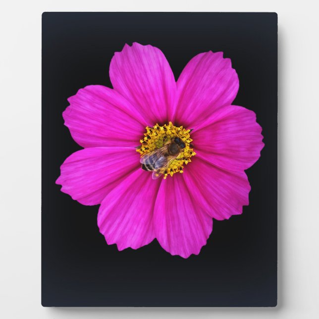 Placa Expositora abeja trabajadora (Frente)