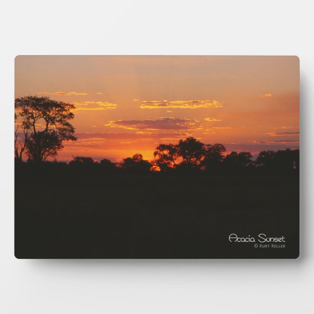 Placa Expositora Acacia Sunset (Frente)