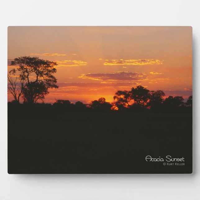 Placa Expositora Acacia Sunset (Frente)