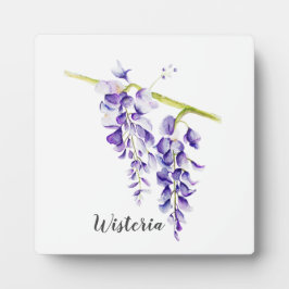 Placa Expositora Acuarela Wisteria Botánico