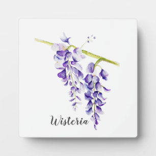 Placa Expositora Acuarela Wisteria Botánico