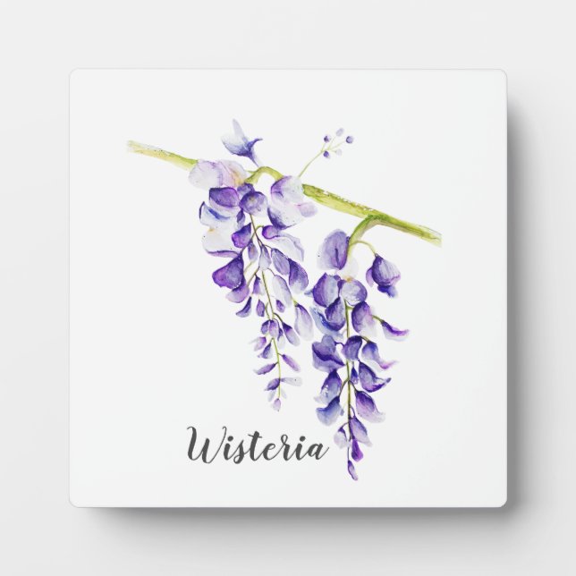 Placa Expositora Acuarela Wisteria Botánico (Frente)