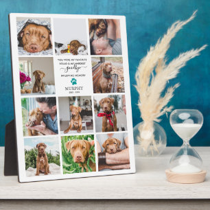 Placa Expositora Adiós Mascota Memorial 11 Collage de fotos