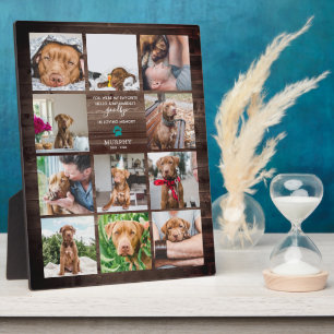 Placa Expositora Adiós Mascota Memorial 11 Collage de fotos P