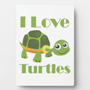 Placa Expositora Adorable niño amante de las tortugas fanático de l