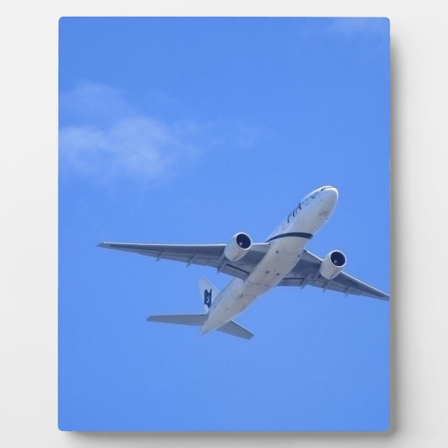 Placa Expositora Aerolínea comercial (Frente)