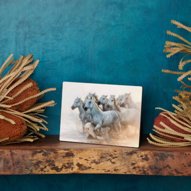 Placa Expositora Agua mediterránea al amanecer (Lado)