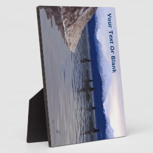 Placa Expositora Agua oscura Orca