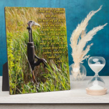 Agua viva John 4 Inspirador