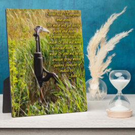 Placa Expositora Agua viva John 4 Inspirador