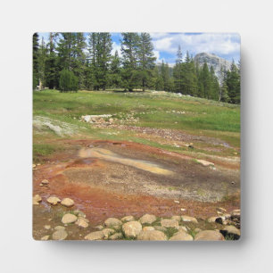 Placa Expositora Aguas termales de Tuolumne Meadows, Yosemite, CA