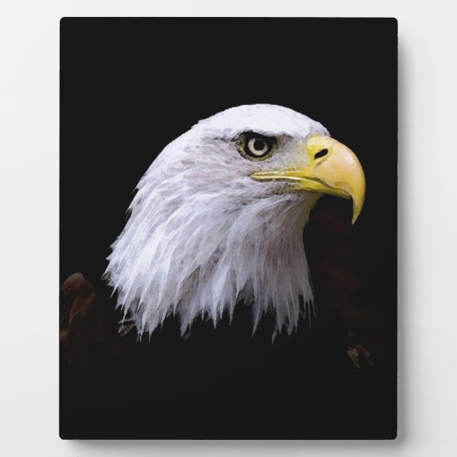 Placa Expositora Águila (Frente)