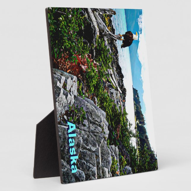 Placa Expositora Águila Calva En La Costa De Alaska (Lado)