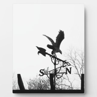 Placa Expositora Águila y flecha