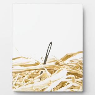 Placa Expositora aguja en un pajar