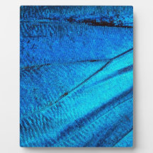 Ala de mariposa azul irlandés