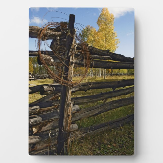 Placa Expositora Alambre de púas (Frente)