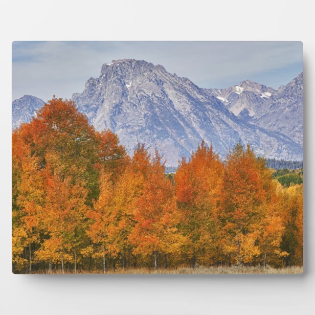 Placa Expositora Álamos con la cordillera Teton (Frente)