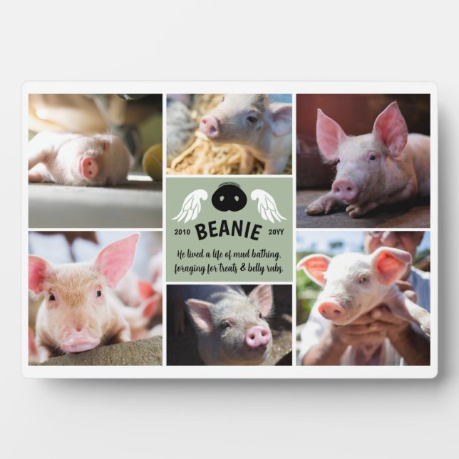 Placa Expositora Alas verdes de cerdo con hocico Collage de fotos c (Frente)