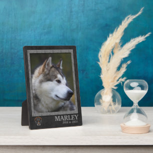 Placa Expositora Alaskan Malamute Perro Raza en Monumento