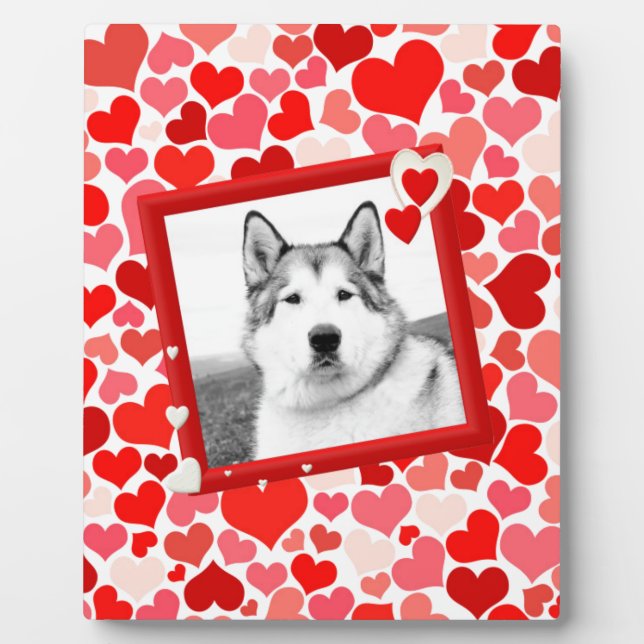 Placa Expositora Alaskan Malamute Perro Valentines Corazón (Frente)