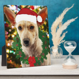 Placa Expositora Alegría por el cachorro