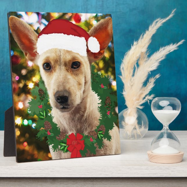 Placa Expositora Alegría por el cachorro (Lado)