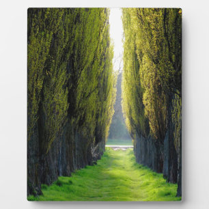 Placa Expositora ALEJAWroclaw Polonia