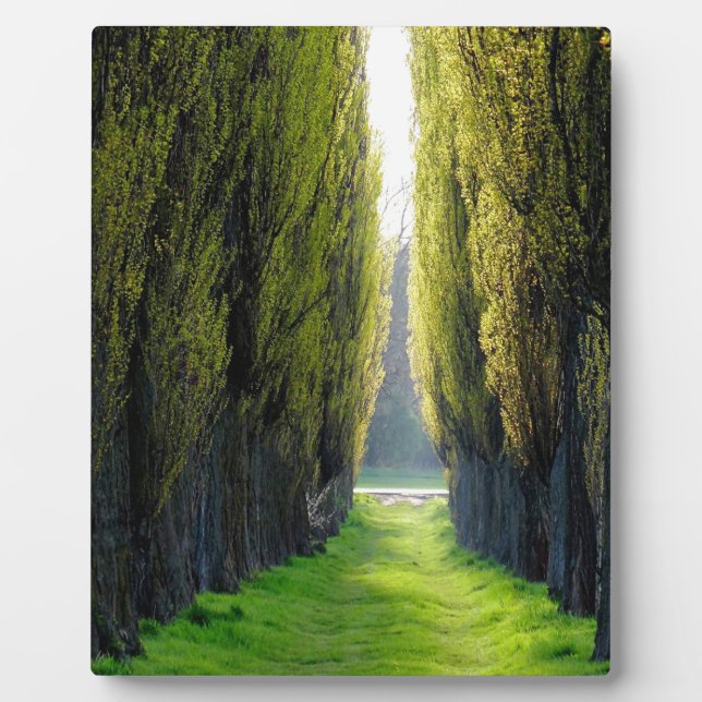 Placa Expositora ALEJAWroclaw Polonia (Frente)