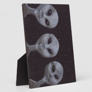 Placa Expositora Alien Grays