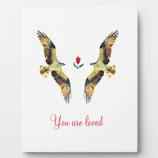 Placa Expositora Amantes. Ospreys (Frente)