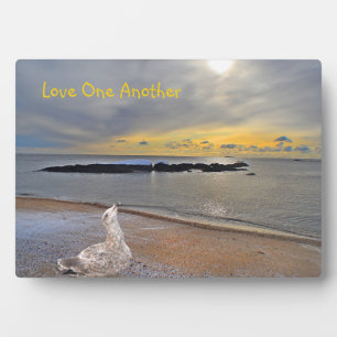 Placa Expositora Amar unos a otros