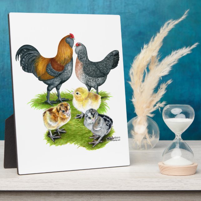 Placa Expositora Ameraucana Chicken Family (Lado)