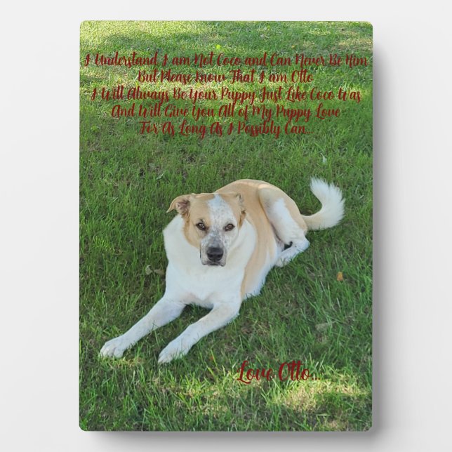 Placa Expositora Amor de Cachorro (Frente)