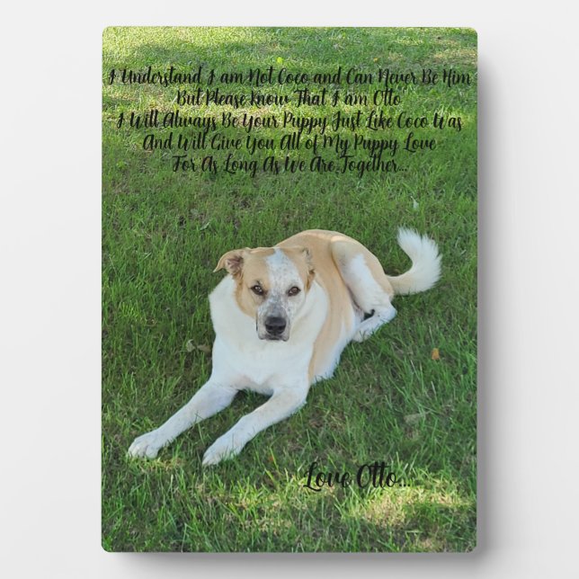 Placa Expositora Amor de Cachorro (Frente)