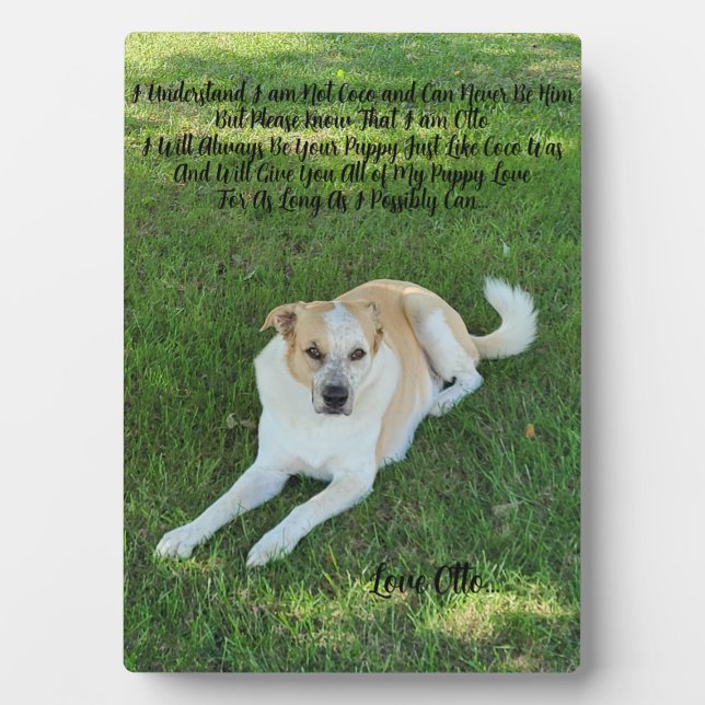 Placa Expositora Amor de Cachorro (Frente)